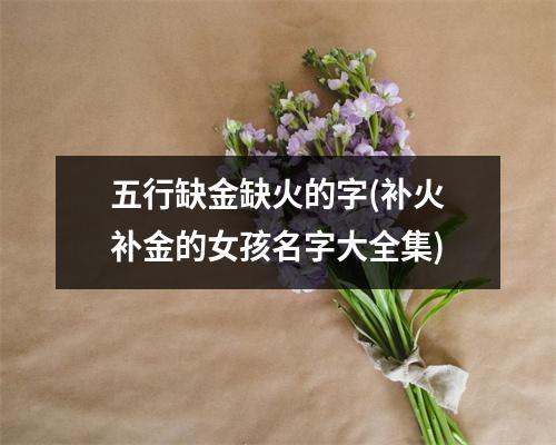 五行缺金缺火的字(补火补金的女孩名字大全集)