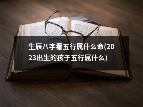 生辰八字看五行属什么命(2023出生的孩子五行属什么)