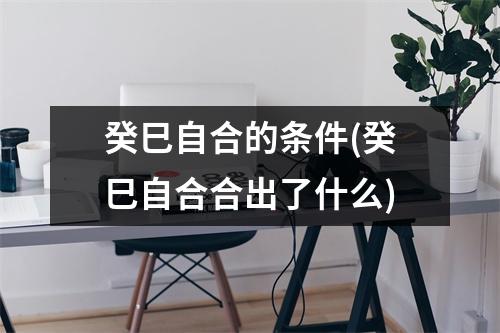 癸巳自合的条件(癸巳自合合出了什么)