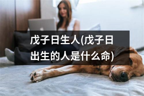 戊子日生人(戊子日出生的人是什么命)