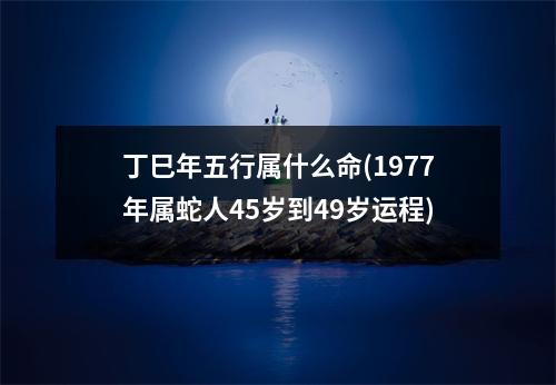 丁巳年五行属什么命(1977年属蛇人45岁到49岁运程)