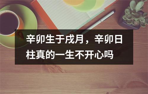 辛卯生于戌月，辛卯日柱真的一生不开心吗