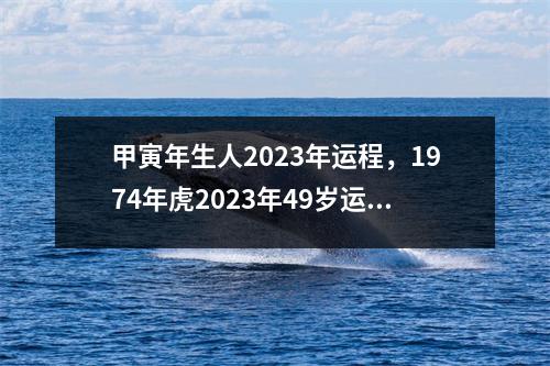 甲寅年生人2023年运程，1974年虎2023年49岁运程