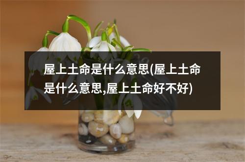 屋上土命是什么意思(屋上土命是什么意思,屋上土命好不好)