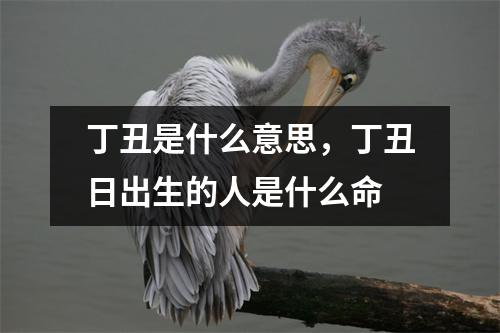 丁丑是什么意思，丁丑日出生的人是什么命