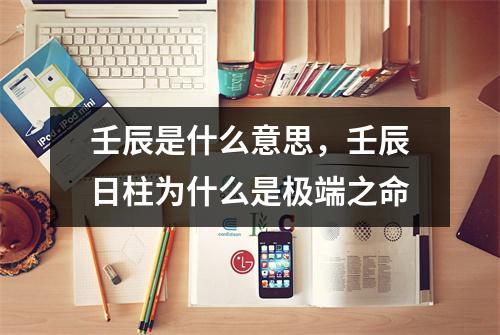 壬辰是什么意思，壬辰日柱为什么是极端之命