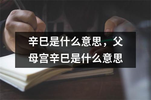 辛巳是什么意思，父母宫辛巳是什么意思