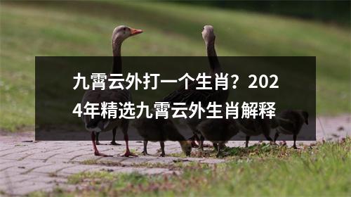 九霄云外打一个生肖？2024年精选九霄云外生肖解释