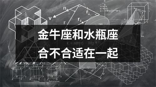 金牛座和水瓶座合不合适在一起