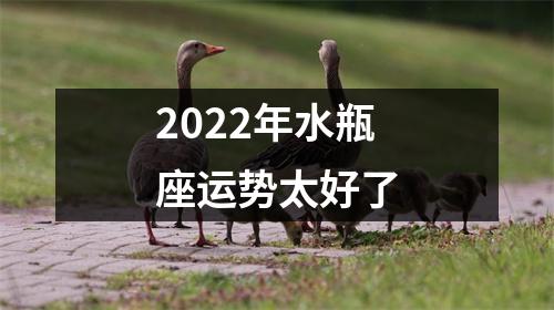 2022年水瓶座运势太好了