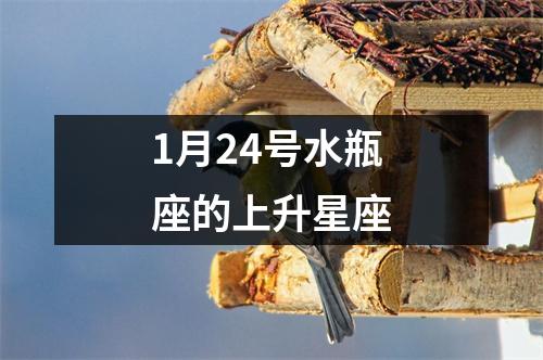 1月24号水瓶座的上升星座