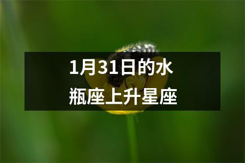 1月31日的水瓶座上升星座