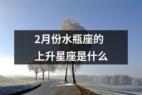 2月份水瓶座的上升星座是什么