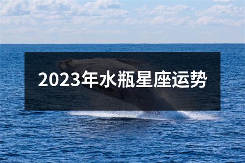 2023年水瓶星座运势