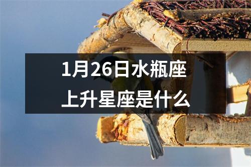 1月26日水瓶座上升星座是什么