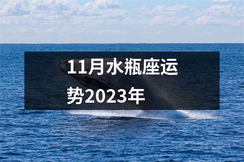 11月水瓶座运势2023年