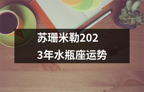 苏珊米勒2023年水瓶座运势