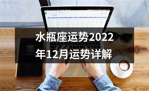 水瓶座运势2022年12月运势详解