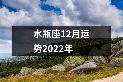 水瓶座12月运势2022年