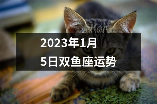 2023年1月5日双鱼座运势