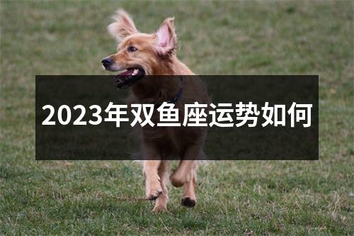 2023年双鱼座运势如何