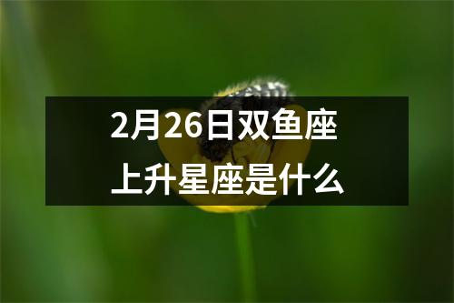 2月26日双鱼座上升星座是什么