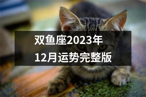 双鱼座2023年12月运势完整版