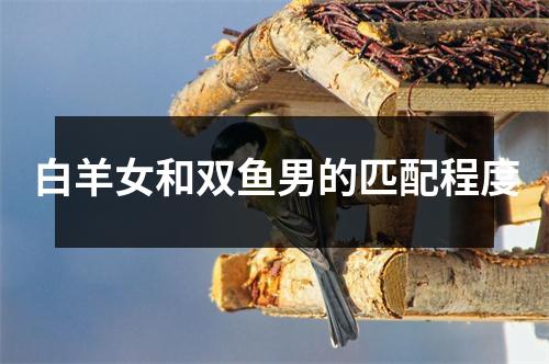 白羊女和双鱼男的匹配程度