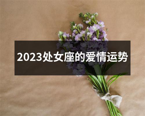 2023处女座的爱情运势