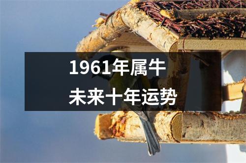 1961年属牛未来十年运势