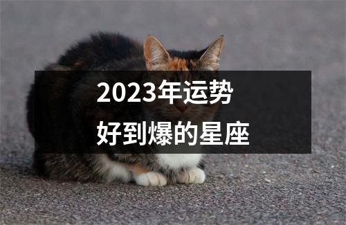 2023年运势好到爆的星座