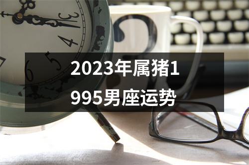 2023年属猪1995男座运势