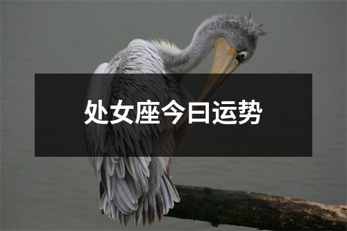 处女座今曰运势