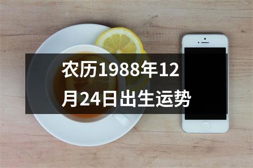 农历1988年12月24日出生运势