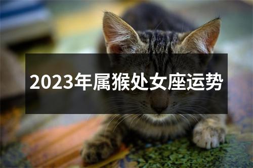 2023年属猴处女座运势