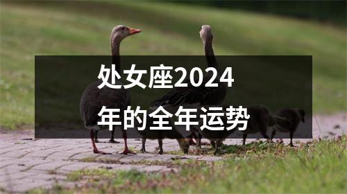 处女座2024年的全年运势