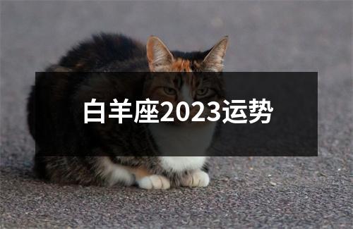 白羊座2023运势