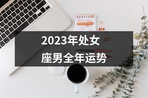 2023年处女座男全年运势