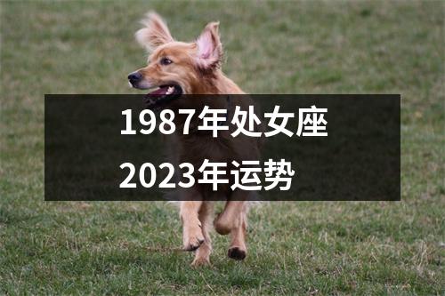 1987年处女座2023年运势