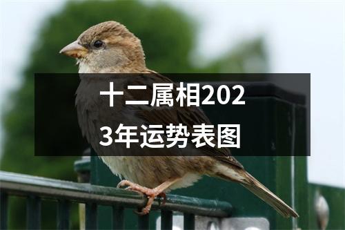 十二属相2023年运势表图