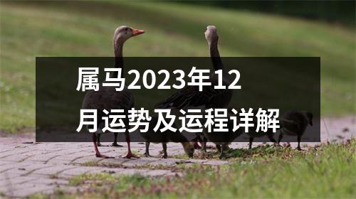 属马2023年12月运势及运程详解