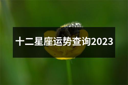 十二星座运势查询2023