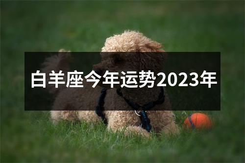 白羊座今年运势2023年