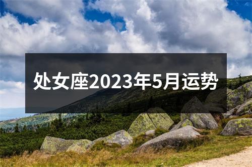 处女座2023年5月运势