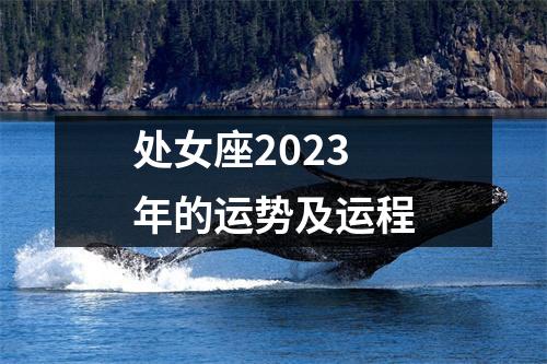 处女座2023年的运势及运程