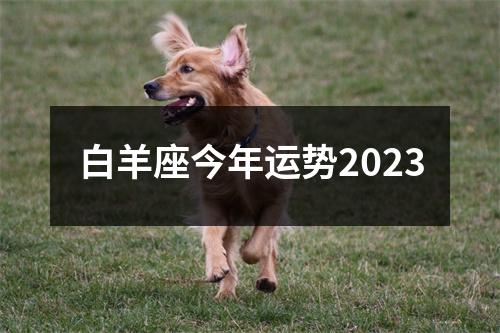 白羊座今年运势2023