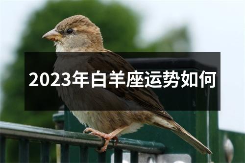 2023年白羊座运势如何