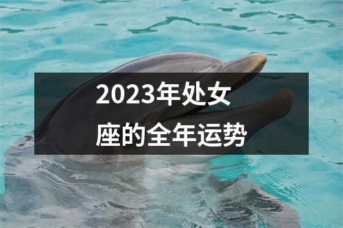 2023年处女座的全年运势