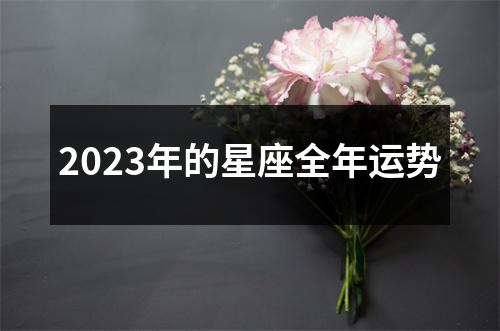 2023年的星座全年运势