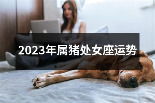 2023年属猪处女座运势